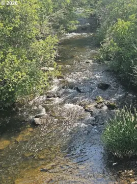 20 Acres with River Frontage