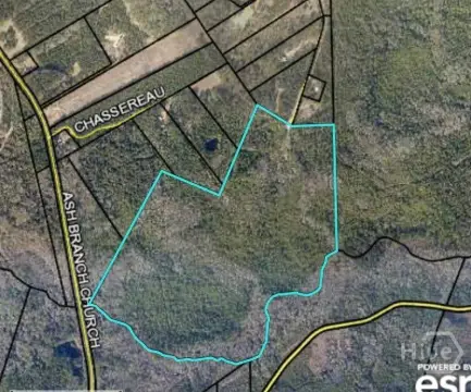 119 Acres Near I-16