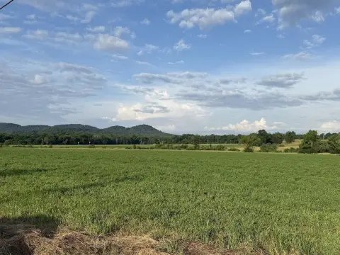 Cleared Level Land Tract
