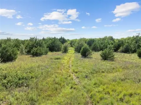 Tree-Filled Agricultural Land