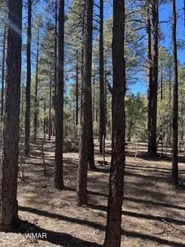 Lakeside Treed Acreage Property