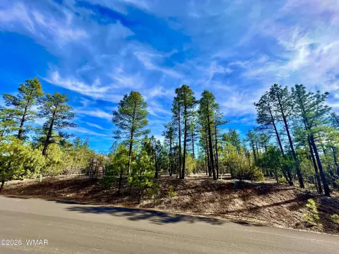 Sierra Pines Homesite in Show Low