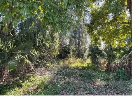 Residential Vacant Lot Opportunity