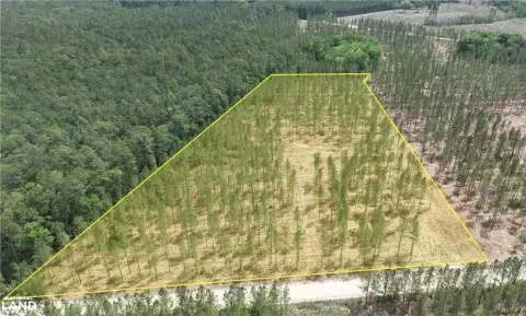 Secluded Acreage in Brunswick, GA