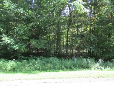 Buildable Wooded Land in Cassopolis