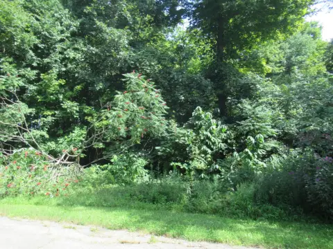 Buildable Wooded Land in Cassopolis
