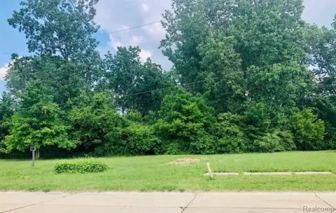 Romulus Buildable Lot Opportunity