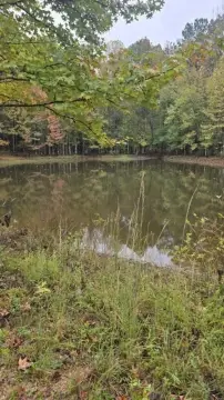 Recreational Hunting Land with Two Parcels