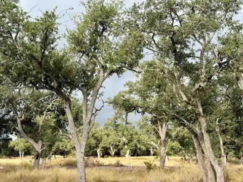 Texas Hill Country Homesite
