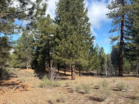 Recreational Land Near Williamson River