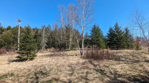 Two Residential Lots in Eastport