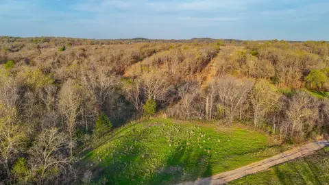 79.38 Acres Hunting Land in Drumright