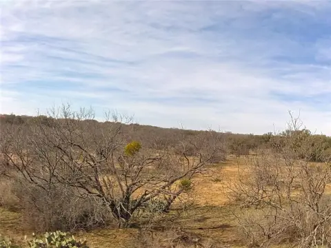 Versatile 40 Acres Near Brownwood