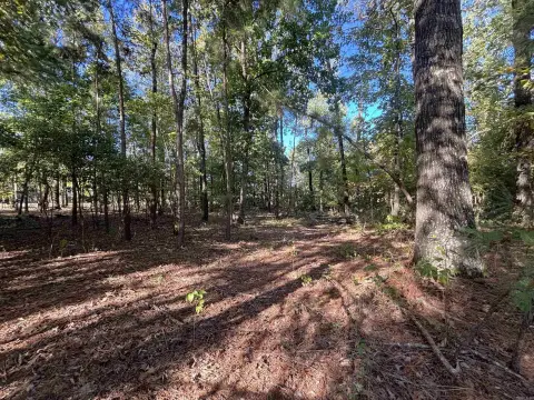 Residential Lot in Sheridan, AR