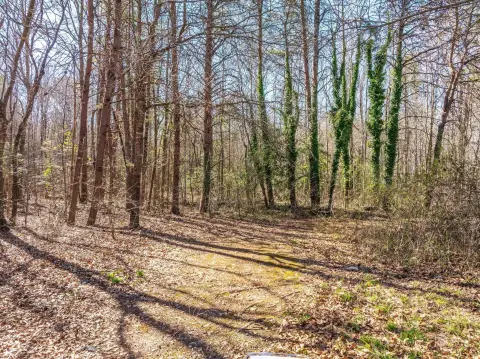 Spartanburg Acreage for Dream Home