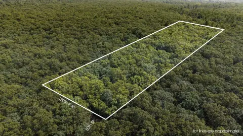 Wooded Land Parcel