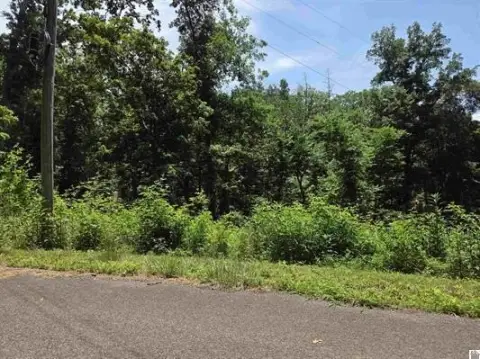 Wooded Lake-View Land Lots