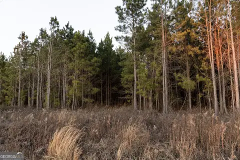 Montrose Land Near I-16