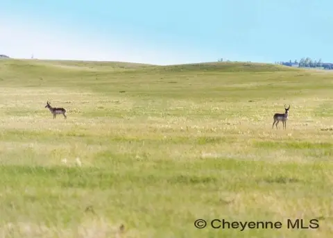 Residential Land in Cheyenne, Wyoming