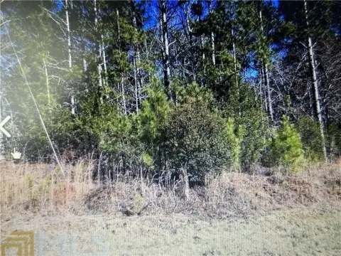 One Acre Building Lot