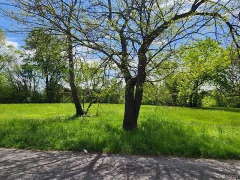 Detroit Land Opportunity: Five Lots