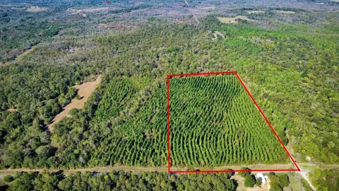 Loblolly Pine Agricultural Land