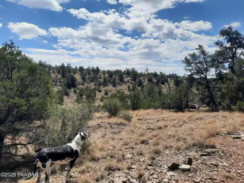 Mountain-View Land Parcel
