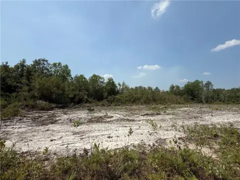 Unrestricted Acreage in Waynesville, GA