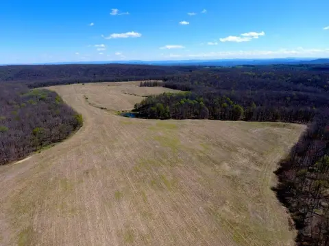 Agricultural Land with Timber