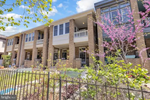 Spacious Duplex Near Druid Hill