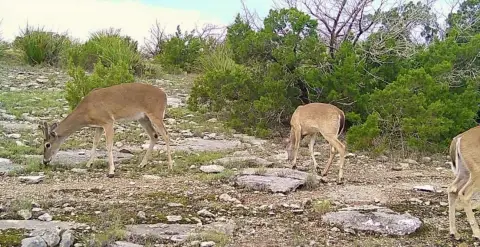 Secluded Hunting Land Near Devils River