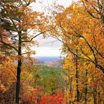 Flat Land with Panoramic Views