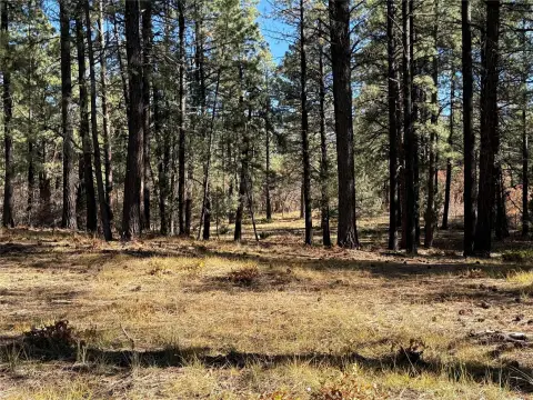 Chama, NM Land Parcel