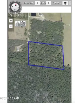 Undeveloped Land in Bunnell, FL