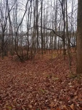 Lakefront Land with Three Lots