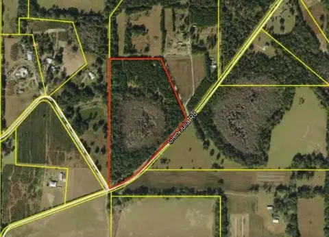 Wooded Hunting Land