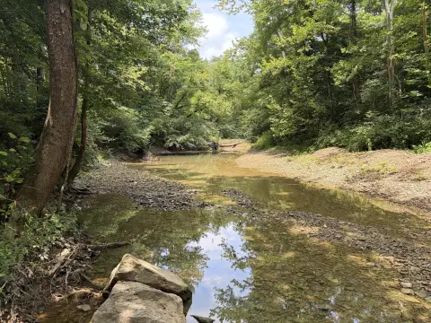 Waterfront Recreational Land Tract