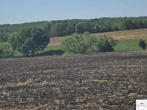 Productive Cropland and Pasture Farm