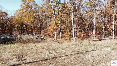 40 Acres in Lincoln, MO