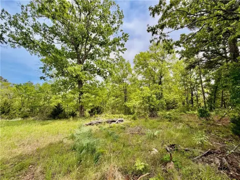 Unrestricted Land Near Eureka Springs