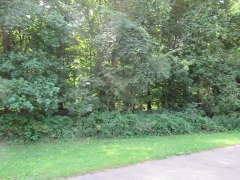 Wooded Land in Cassopolis, MI