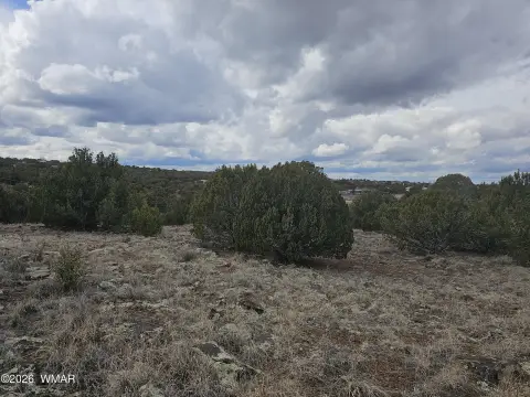 Land Near White Mountain Lake