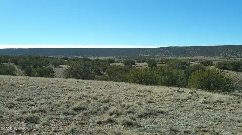 40 Acres near Concho Highway