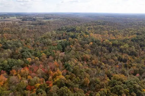Premier Hunting Land in Fordsville