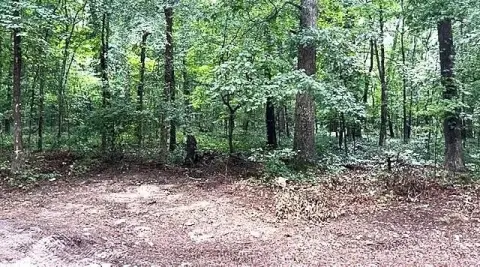 Residential Land in Ellenwood, GA