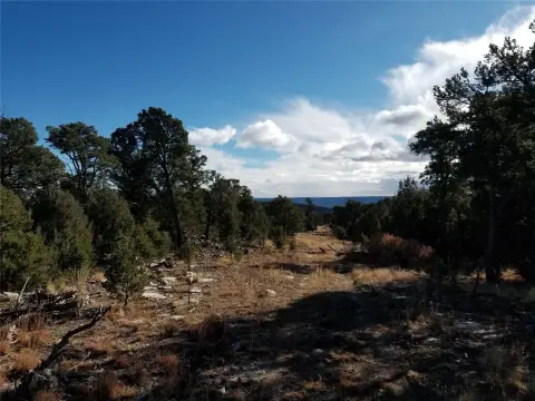 35 Acres in Pecos Mountains
