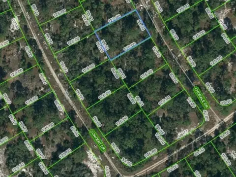 Land in Lake Placid, FL