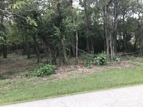 Wooded A-1 Land Parcel
