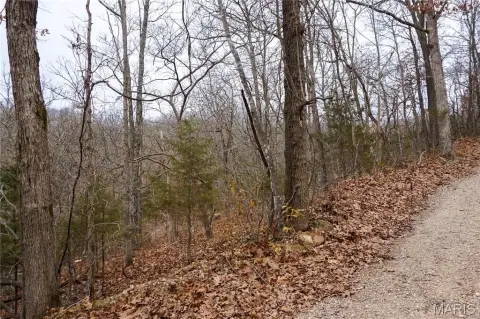 Agricultural Land Tract with Privacy