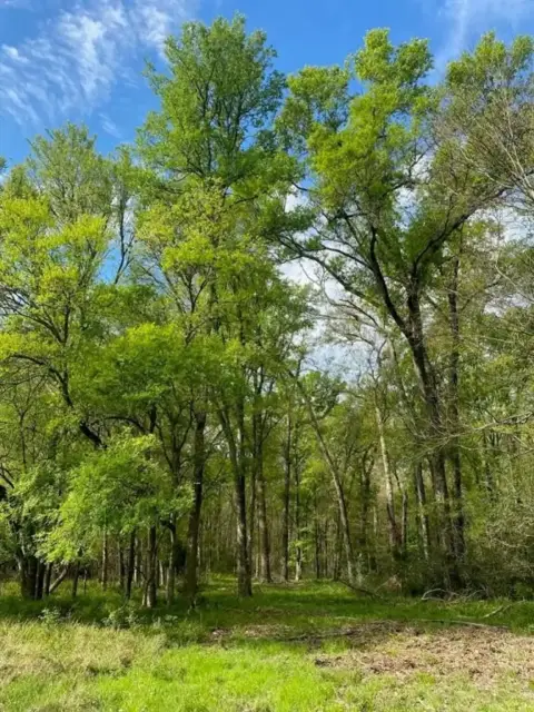 Land Near Buffalo, Texas
